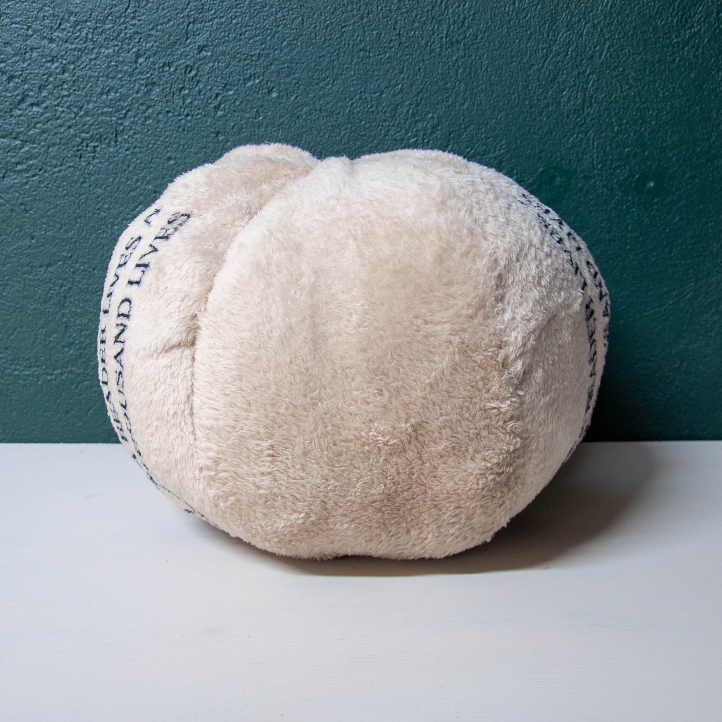 A Reader Lives A Thousand Lives - Fleece Ball Pillow