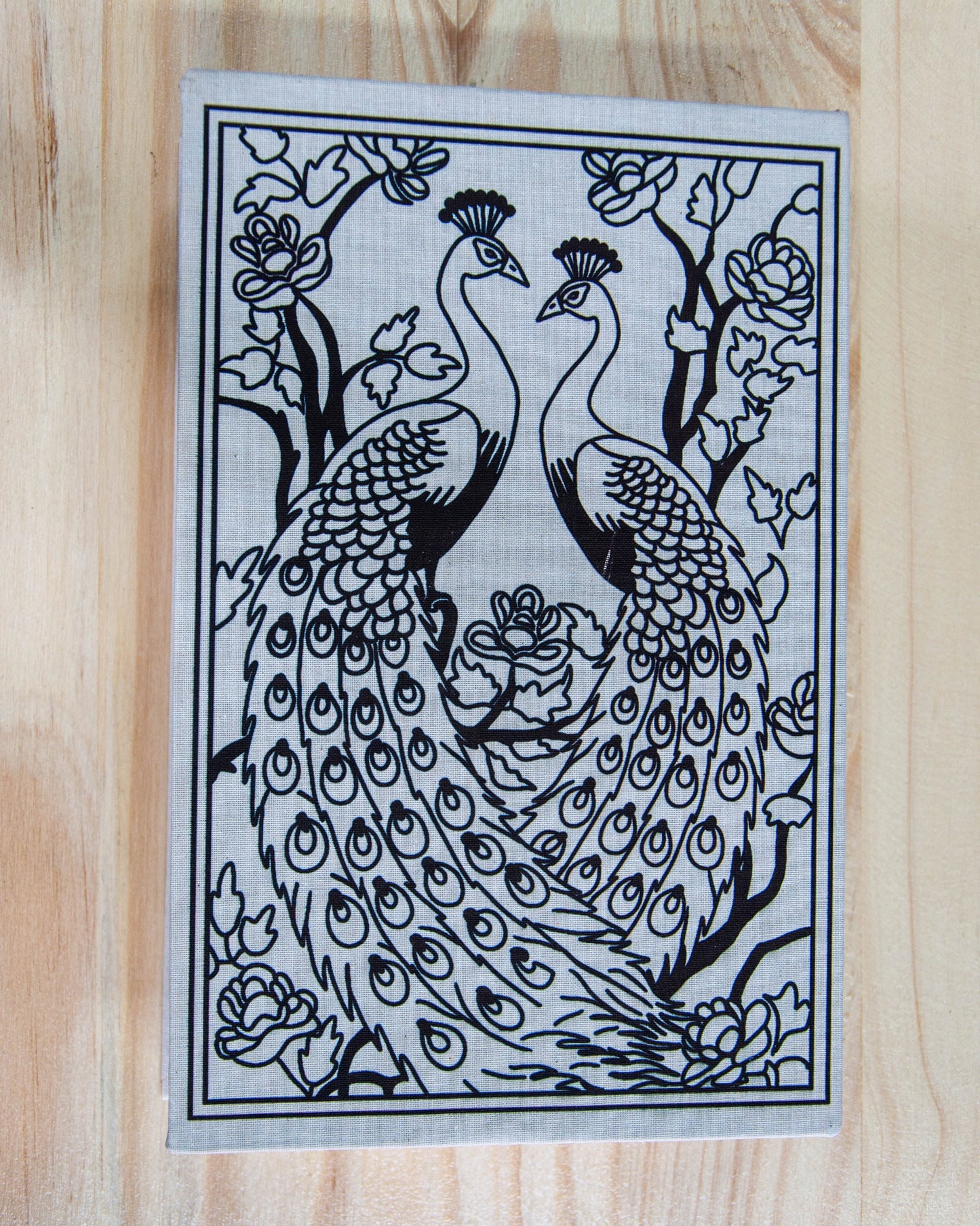 Pride And Prejudice - Book Safe